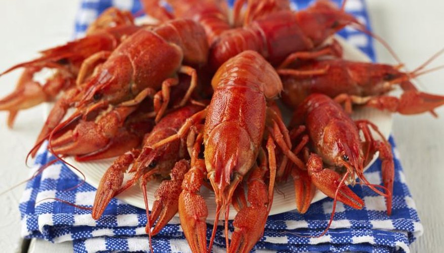 Crawfish Bag Limits in Florida