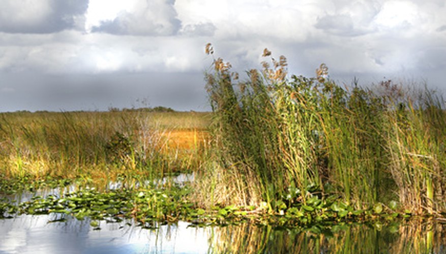 Senior Discounts to Florida Parks