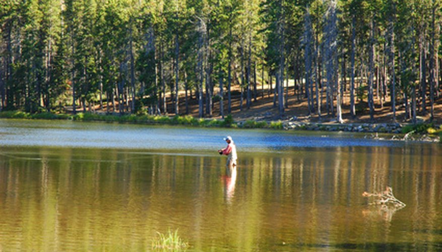 Rods & Reels Recommended for Steelhead Fishing