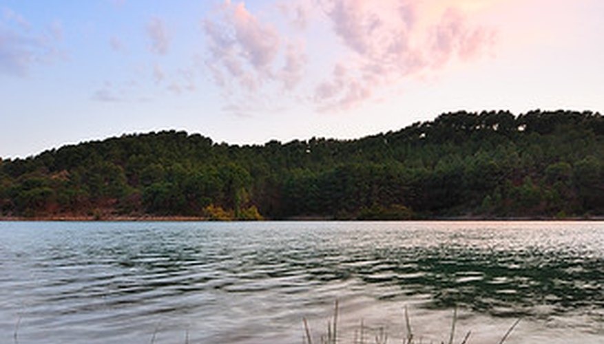 Photo Credit: Image by Flickr.com, courtesy of Sergio Tudela Romero Plants in a marine environment are more tolerant of salt.