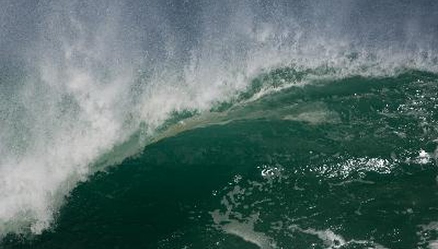 Los grandes desastres naturales como los tsunamis, tambien plantean daños a los ecosistemas.