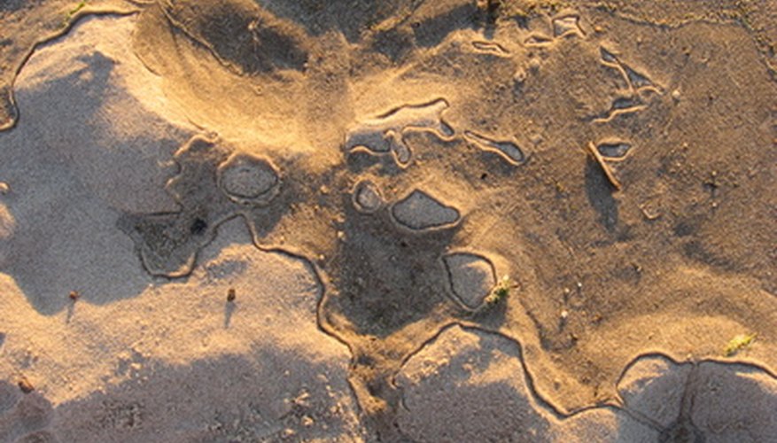 Water will hold the sand in place as you dig the fence post holes. Water will hold the sand in place as you dig the fence post holes.