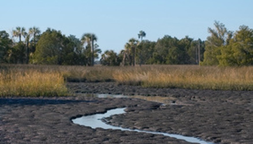 Photo Credit: mud flats image by Stacey Lynn Payne from <a href='http://www.fotolia.com'>Fotolia.com</a> Anaerobic respiration occurs in oxygen-poor marsh muds.