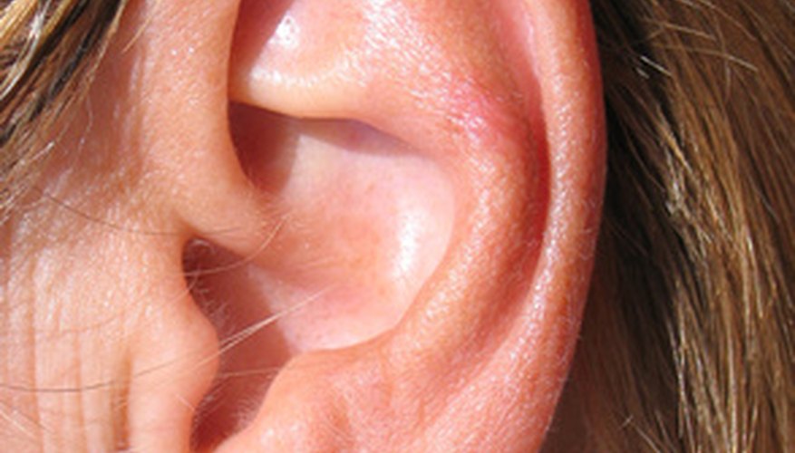 Schools that train hearing aid dispensers are anticipating more demand for their graduates.
