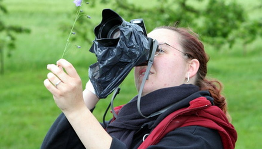 Photography is a hobby that many enjoy. Photography is a hobby that many enjoy.