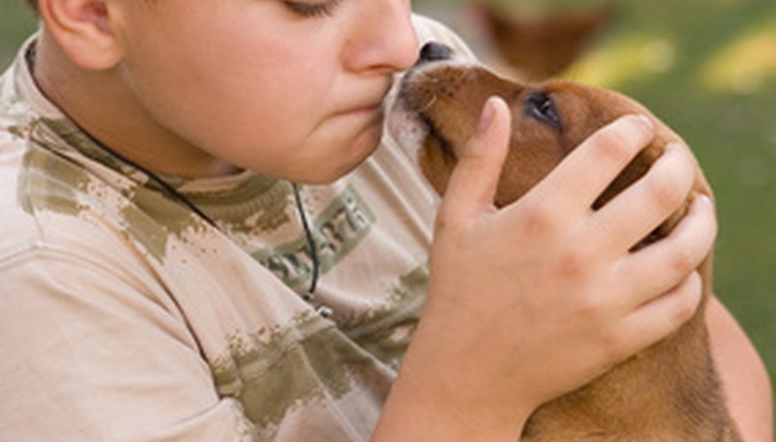 Photo Credit: boy and his pet image by Renata Osinska from <a href='http://www.fotolia.com'>Fotolia.com</a> Love goes a long way toward keeping your dog healthy and happy.