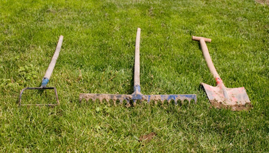 Types of Garden Rakes | Garden Guides