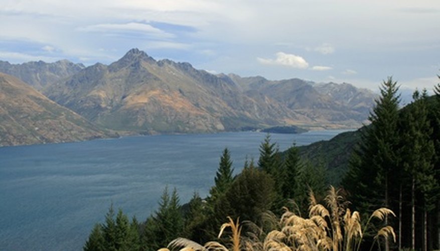 Visita Queenstown en Nueva Zelanda durante el cálido hemisferio sur de enero.