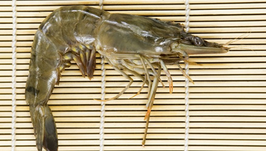 Growing shrimp requires fewer resources with super-intensive farming operations.