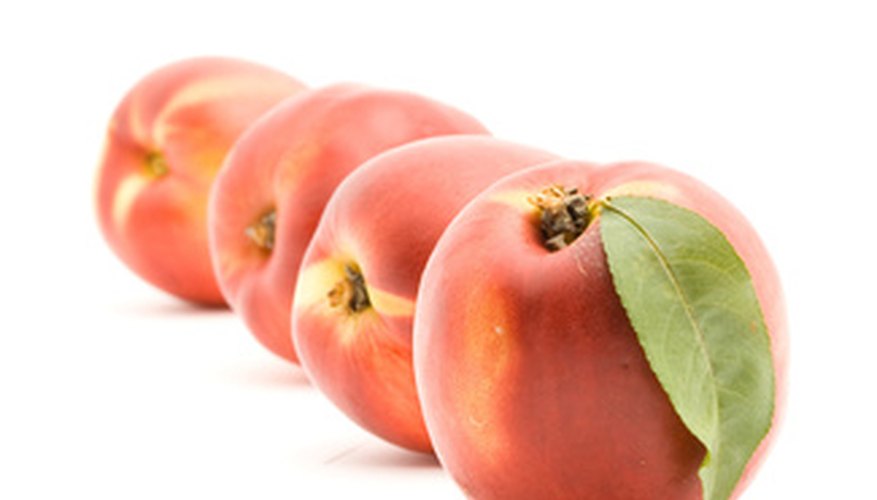 List of Types of Peach Trees | Garden Guides