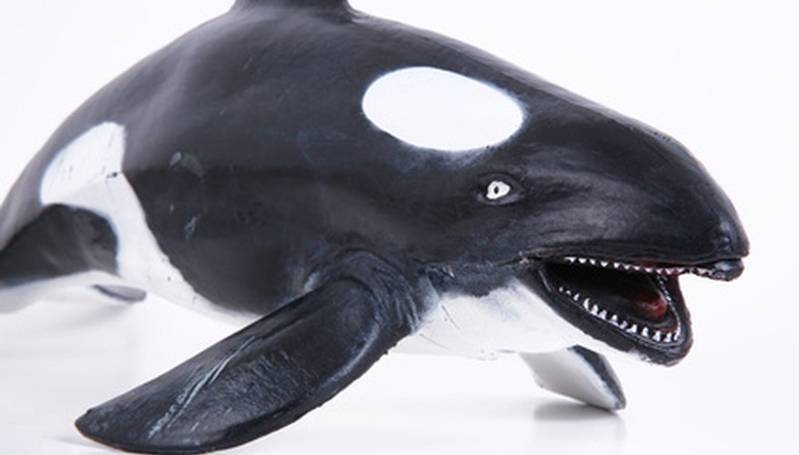 El disfraz de ballena puede ser fácil y económico de hacer.