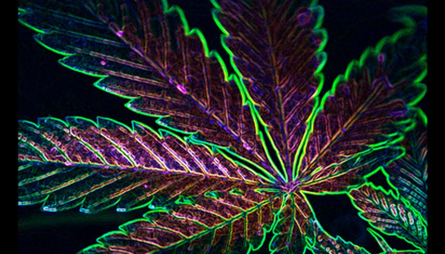 Dibuja esta hoja de marihuana.