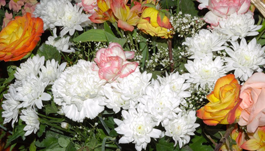 Most Common Flowers Used In Arrangements / Common Flowers In Floral Arrangements