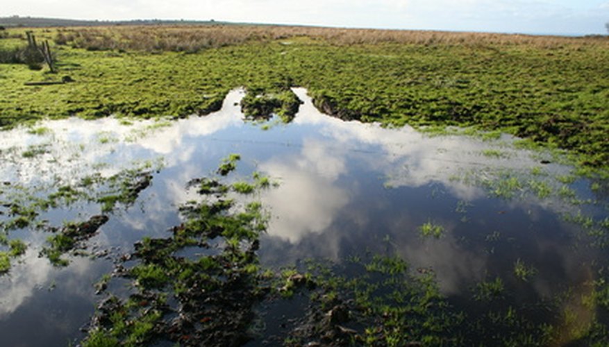 high-water-table-problems-sciencing