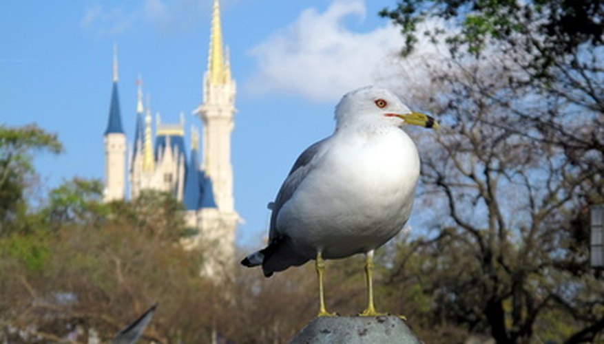 Orlando ofrece parques temáticos y salidas naturales para las familias.