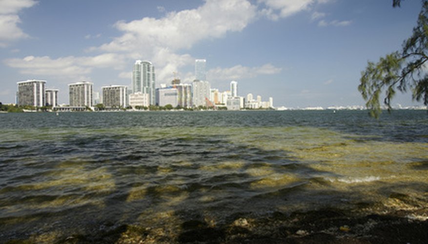 Aunque son limitados, puedes encontrar clubes para menores de 21 en Miami.