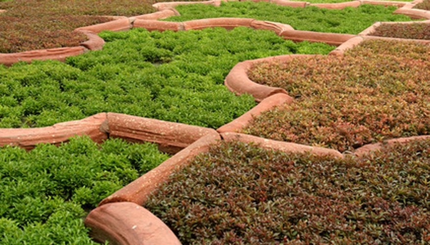Plants need ammonia to grow. Plants need ammonia to grow.
