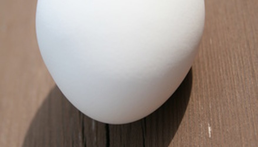 Photo Credit: egg image by poGosha from <a href='http://www.fotolia.com'>Fotolia.com</a> You can use a standard white, or brown, egg for this experiment.