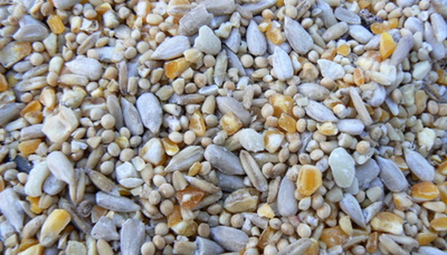 How to Stop Bird Seed From Germinating | Garden Guides