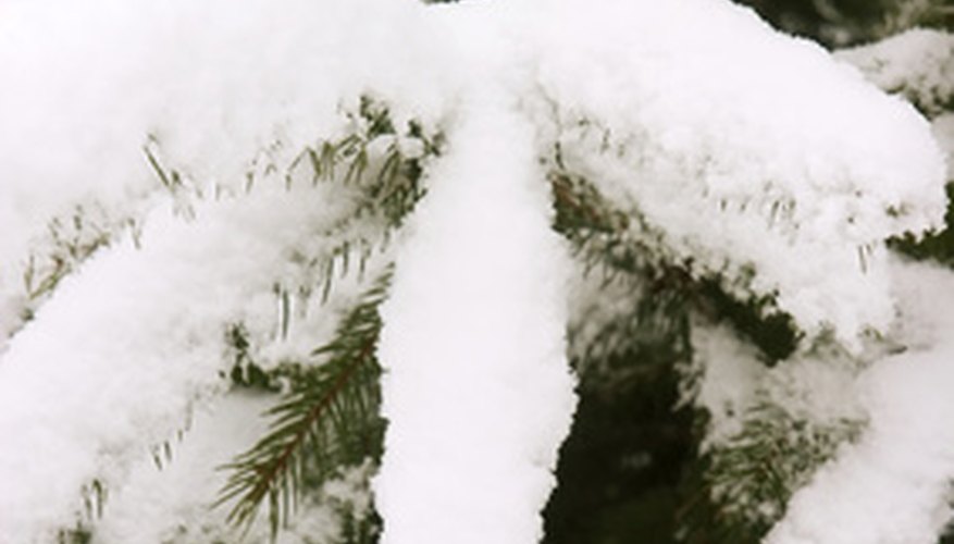 La nieve puede ser una hermosa cobertura de invierno independientemente de dónde caiga, hasta que llega la hora de quitarla.