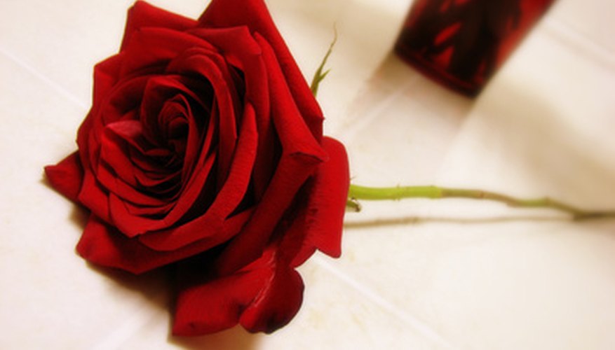 Photo Credit: Rose Out Of Vase image by SRisonS from <a href='http://www.fotolia.com'>Fotolia.com</a> You're ready to make your business bloom