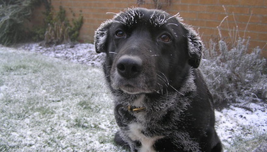 Don't be left in the cold if you're eligible for the Michigan Home Heating Tax Credit.