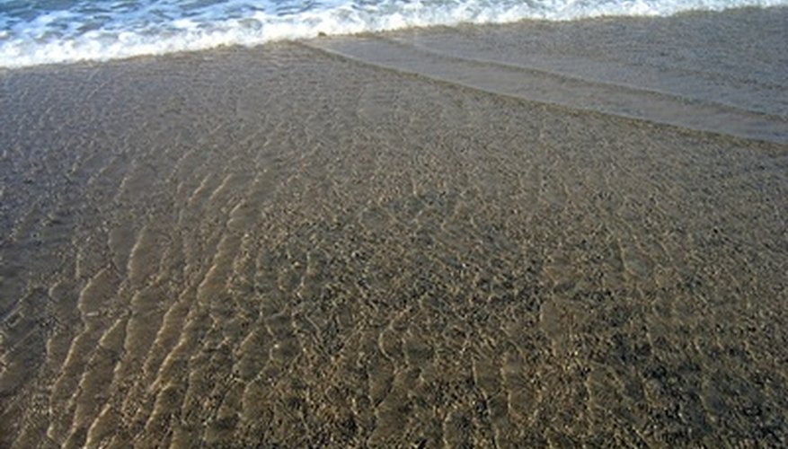 Photo Credit: low tide image by Liz Van Steenburgh from <a href='http://www.fotolia.com'>Fotolia.com</a> Studying the tides can help students understand the significance of gravity.