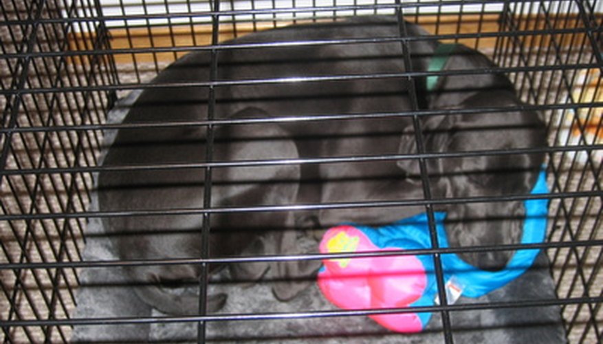 Photo Credit: dog sleeping in metal kennel image by Paul Retherford from <a href='http://www.fotolia.com'>Fotolia.com</a> A comfortable crate can offer your dog a safe, calming refuge.