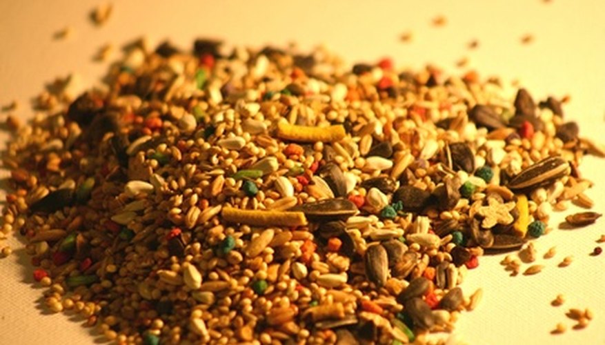 Watch the birds enjoy a meal at your brick bird feeder. Watch the birds enjoy a meal at your brick bird feeder.