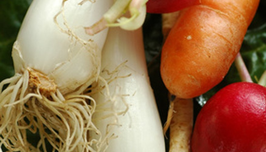 how-to-grow-root-vegetables-garden-guides