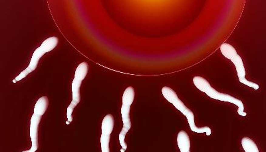 ¿Cuánto puede ganar una persona siendo un donante de esperma?