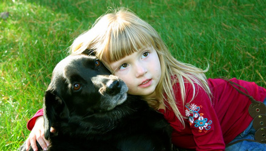 Photo Credit: big hug image by Kelly Kane from <a href='http://www.fotolia.com'>Fotolia.com</a> Hold your dog to encourage feelings of safety.