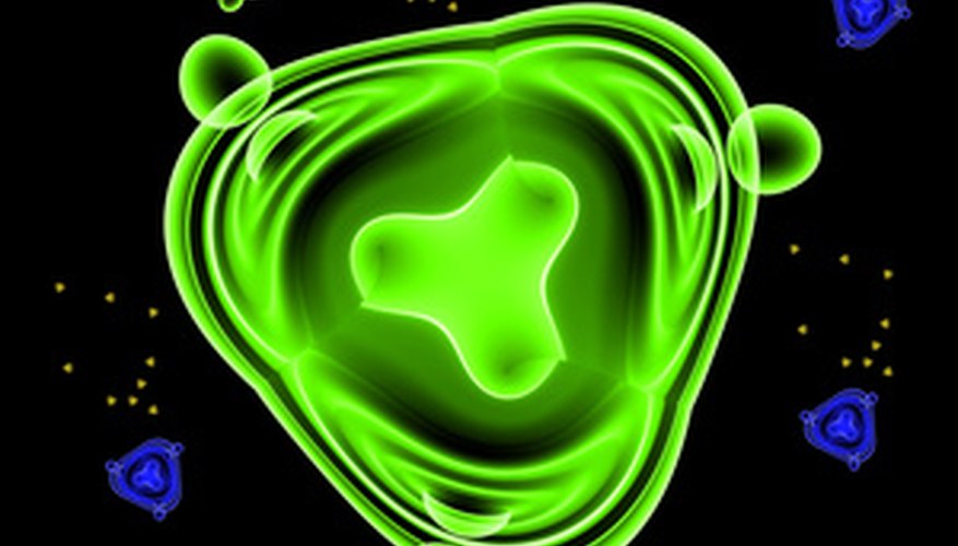 Bacterias.