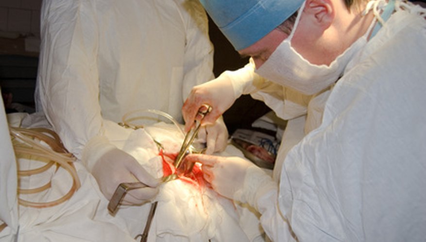 Los médicos de la sala de urgencias tienen una carrera exigente pero económicamente lucrativa.