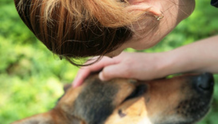 Photo Credit: The woman and dog image by Cosmic from <a href='http://www.fotolia.com'>Fotolia.com</a> Don't overreact to your dog's fear. If your dog sees you acting naturally, he may get the message that all is well.