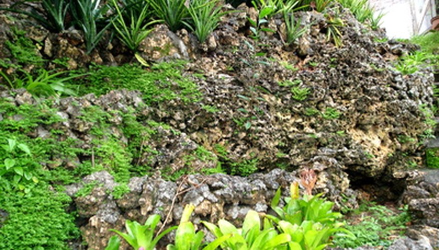 How to Landscape a Slope With Rocks | Garden Guides