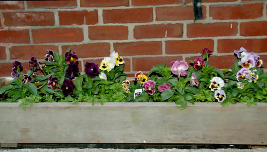 How to Plant Flower Boxes | Garden Guides