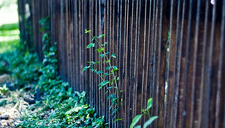 Photo Credit: fence image by Sorawut from <a href='http://www.fotolia.com'>Fotolia.com</a> Make sure your fence is in good repair.