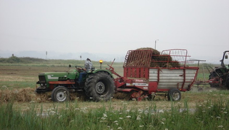 Photo Credit: agriculture image by Gonçalo Carreira from <a href='http://www.fotolia.com'>Fotolia.com</a> Growing Forward grants help Alberta farmers expand their businesses.
