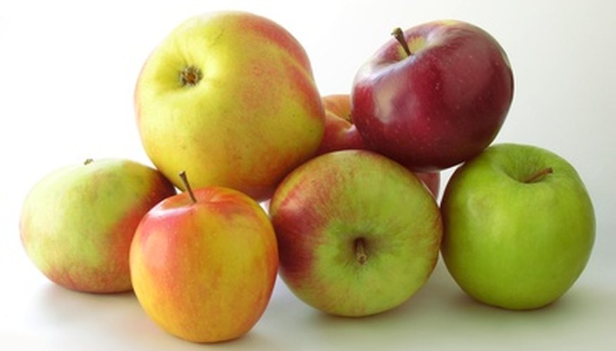 Varieties of Apple Trees in West Virginia Garden Guides