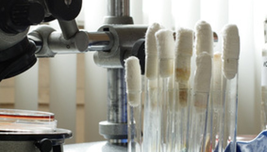 Los especialistas en ciencias forenses usan sus habilidades analíticas para ayudar a los investigadores.
