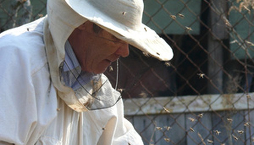 Local government may keep a list of beekeepers willing to remove bees. Local government may keep a list of beekeepers willing to remove bees.