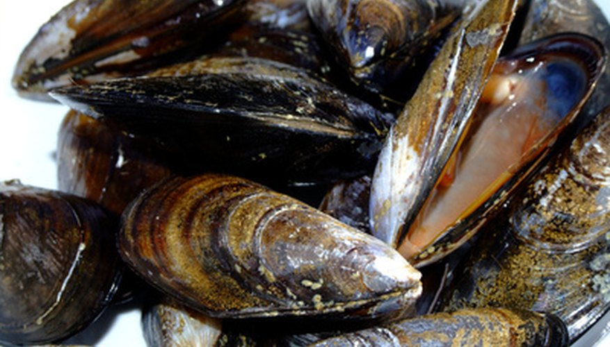 Photo Credit: mussels image by citylights from <a href='http://www.fotolia.com'>Fotolia.com</a> To some people, mussels are a tasty treat.