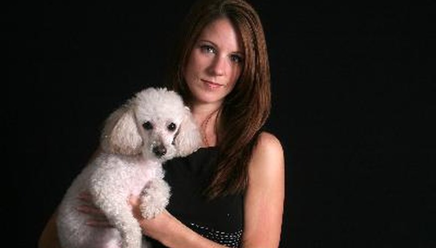 Photo Credit: Pretty serious woman and her pet poodle image by Allen Penton from <a href='http://www.fotolia.com'>Fotolia.com</a> Professional grooming keeps your dog's coat in good condition, thus reducing shedding.