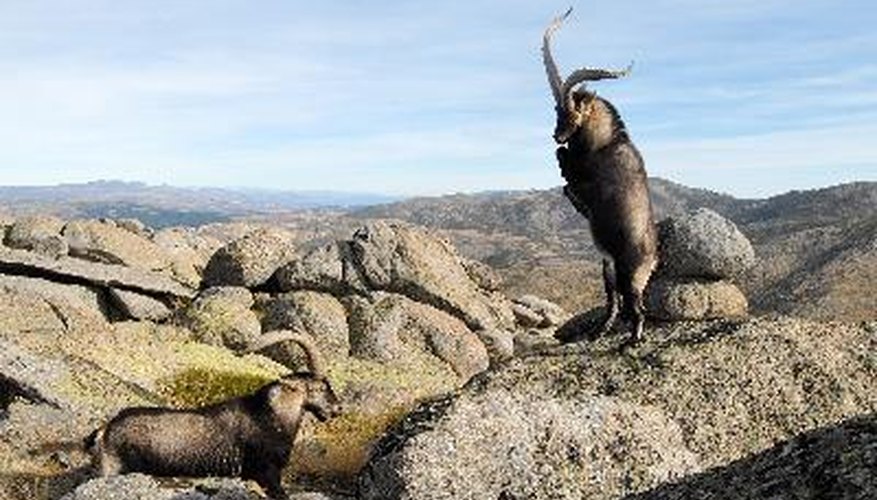 El conflicto es una disputa entre dos o más partes.