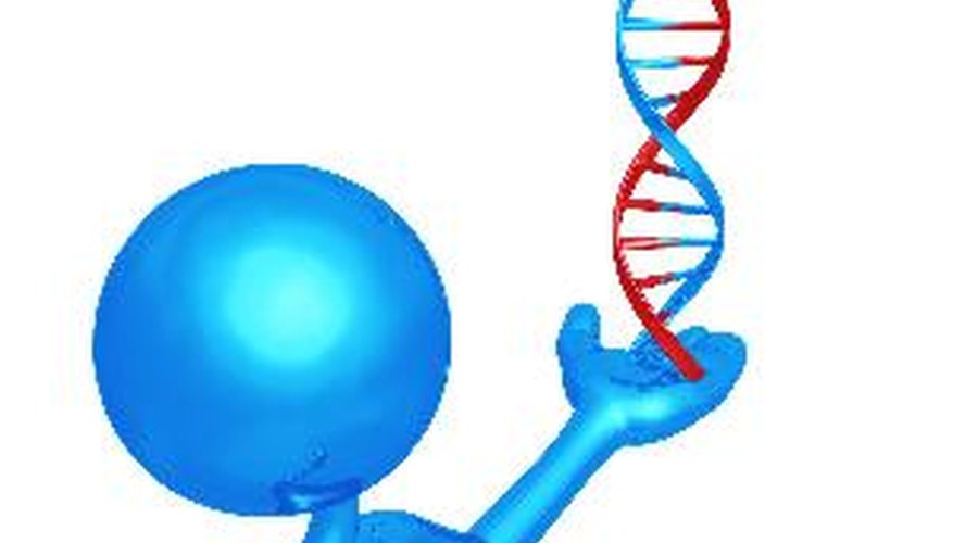 Todas las células de nuestro cuerpo poseen moléculas de ADN en su interior.