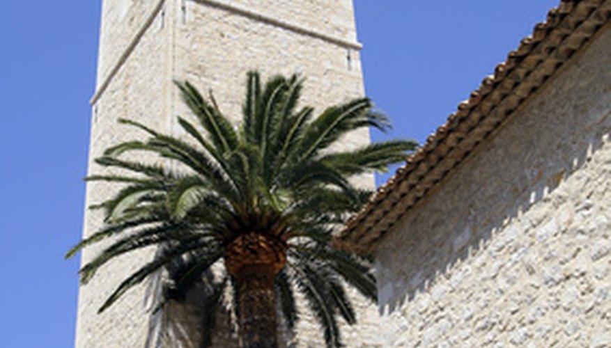 El árbol es el sujeto y se erguía en frente de la torre es el predicado completo.
