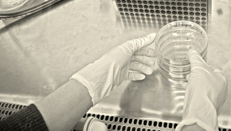 La investigación científica nos ayuda a entender el mundo que nos rodea.