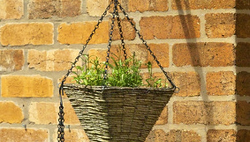 How To Grow Mexican Heather in Hanging Baskets | Garden Guides