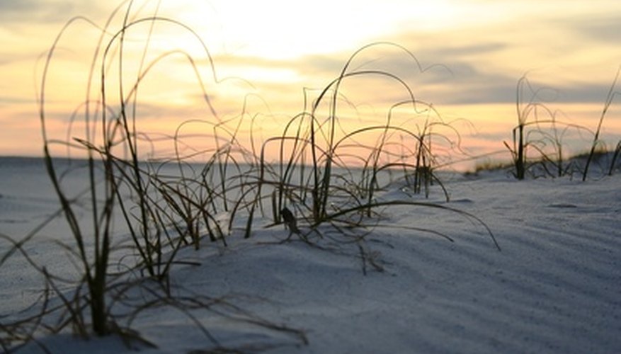Stay healthy in Florida.